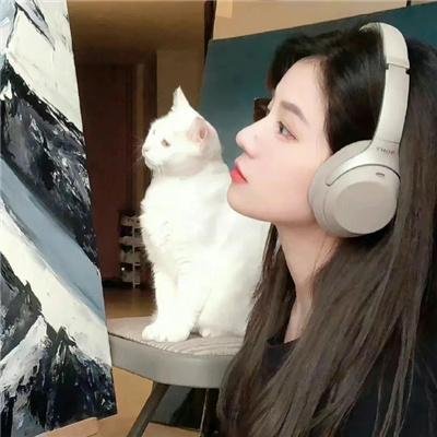 将军府来了个小厨娘之落难千金